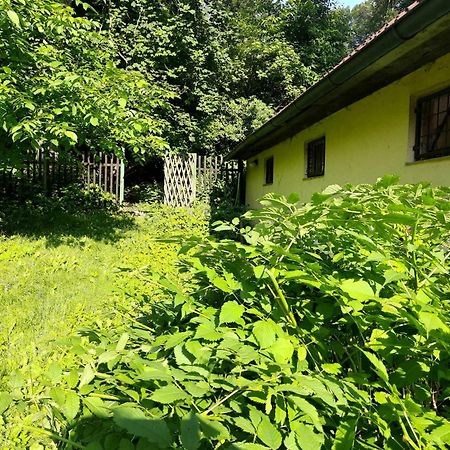 Apartman Lucie Либехов Экстерьер фото